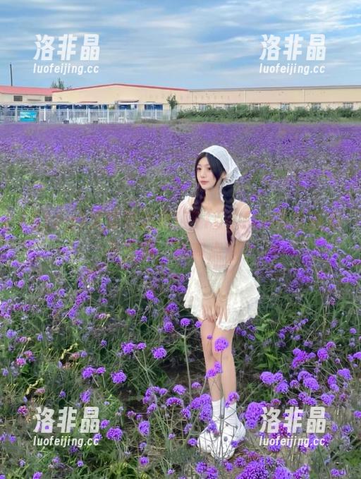 又见铁达尼！51cg.fun首页新瓜不止黑，还有点甜？