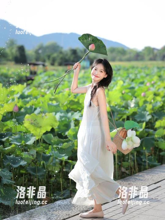 今天的天气：甜瓜与惊天大事，快来下载51朝阳搞事情！