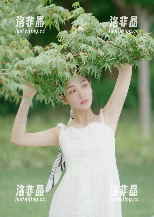 52吃瓜网：这个网站真是个“吃瓜”财富自由的梦啊，真值一试吗？