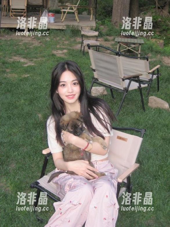往期热点透视：718娱乐网址里的八卦让人叹为观止！
