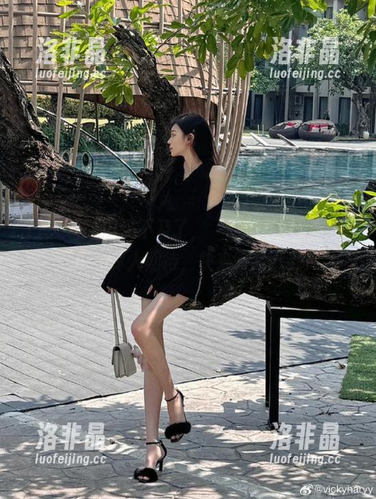 等不及了，‘吃瓜导航’更新得超级令人期待，快来喂我八卦！